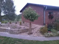 Hochbeet_Platane11.webp