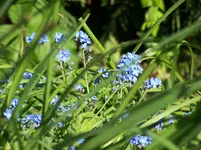 100_2791.webp