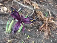 DSCF1575.webp