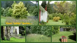Copy of wilder Garten v.webp