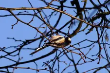 2012_0112winter0002.webp