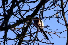 2012_0112winter0004.webp