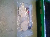 Paprika_Anzucht.webp