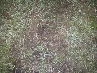 2011-11-29 08.04.25.webp
