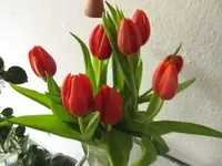 Bild 125.webp