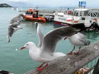 IMG_7668.webp