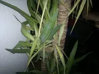 15012012288.webp