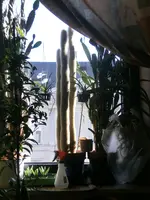 CIMG2816.webp