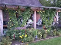 Sommer11_11.webp