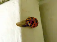 DSCN4917.webp