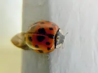 DSCN4921.webp