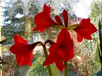 DSCN4927.webp