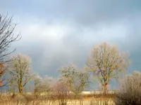 DSCN4910.webp