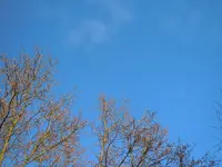 040.webp