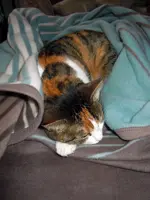 DSCN4893.webp