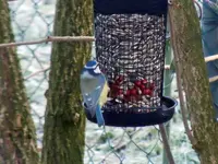 DSCN4897.webp