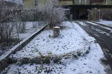 Einfahrt (2).webp