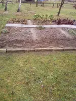 GBeet12_Jan02.webp