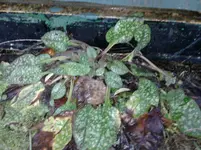 P140112_16.37.webp
