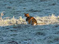 DSCN5061.webp