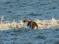 DSCN5063.webp