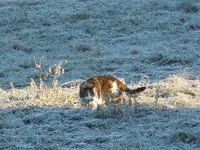 DSCN5066.webp