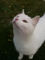 Pünktchen_02.webp