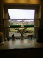 Anzuchtregal.webp