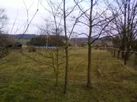 Eichen12_04.webp