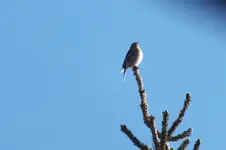 2012_0117winter0008.webp