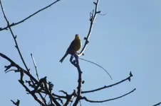 2012_0117winter0010.webp