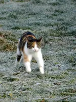 094.webp
