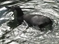 Bild 1163.webp