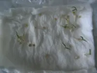 CLIP0006.webp
