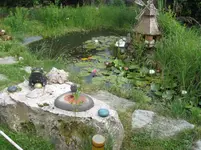 btw 11.06.2011 010.webp