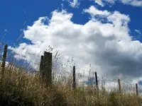 Copy of IMG_7760v.webp