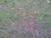 20120120_093652.webp