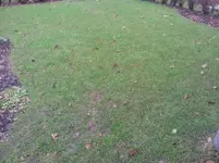20120120_093722.webp