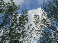 Bild 808.webp