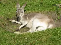 Bild 1223.webp