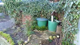 P1020100.webp
