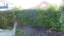 P1020102.webp
