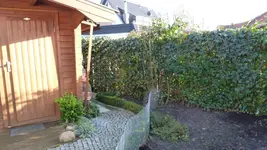 P1020103.webp