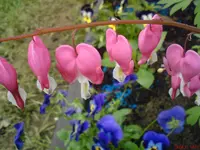 DSC00807.webp