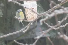 2012_0121winter0083.webp