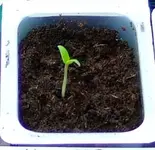 DSCF6981.2.webp