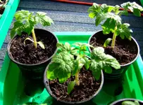 DSCF6811.2.webp