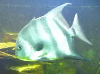 CIMG0909.webp