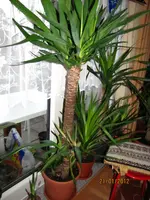 IMG_2894.webp