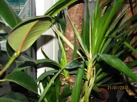 IMG_2893.webp